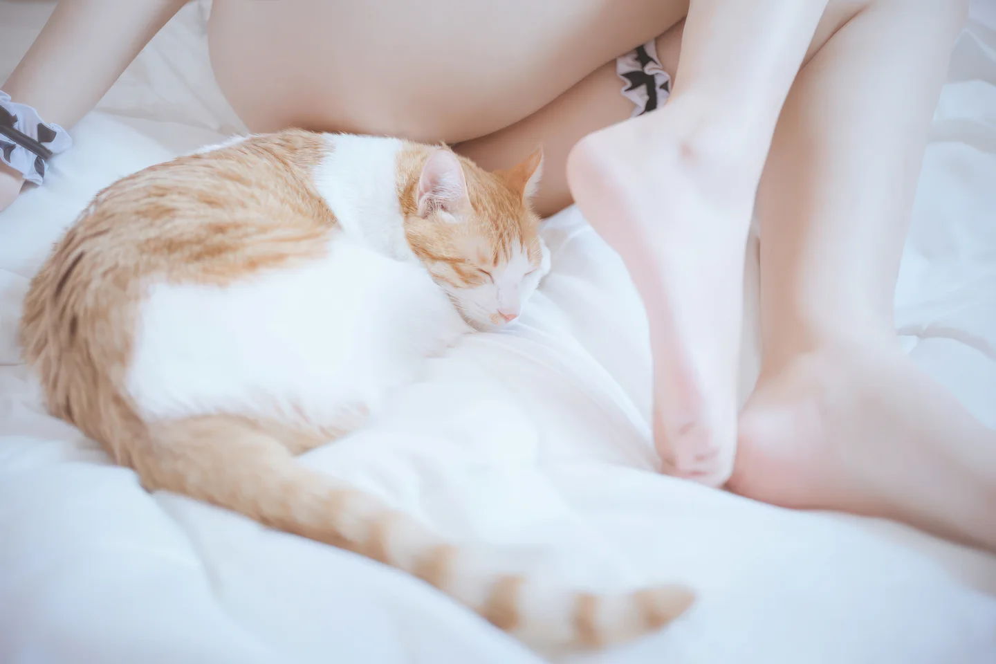 阿半今天很开心 - No.042 奶牛比基尼 [51P-280MB] tg@simisebaisi 【丝足阁】022.webp